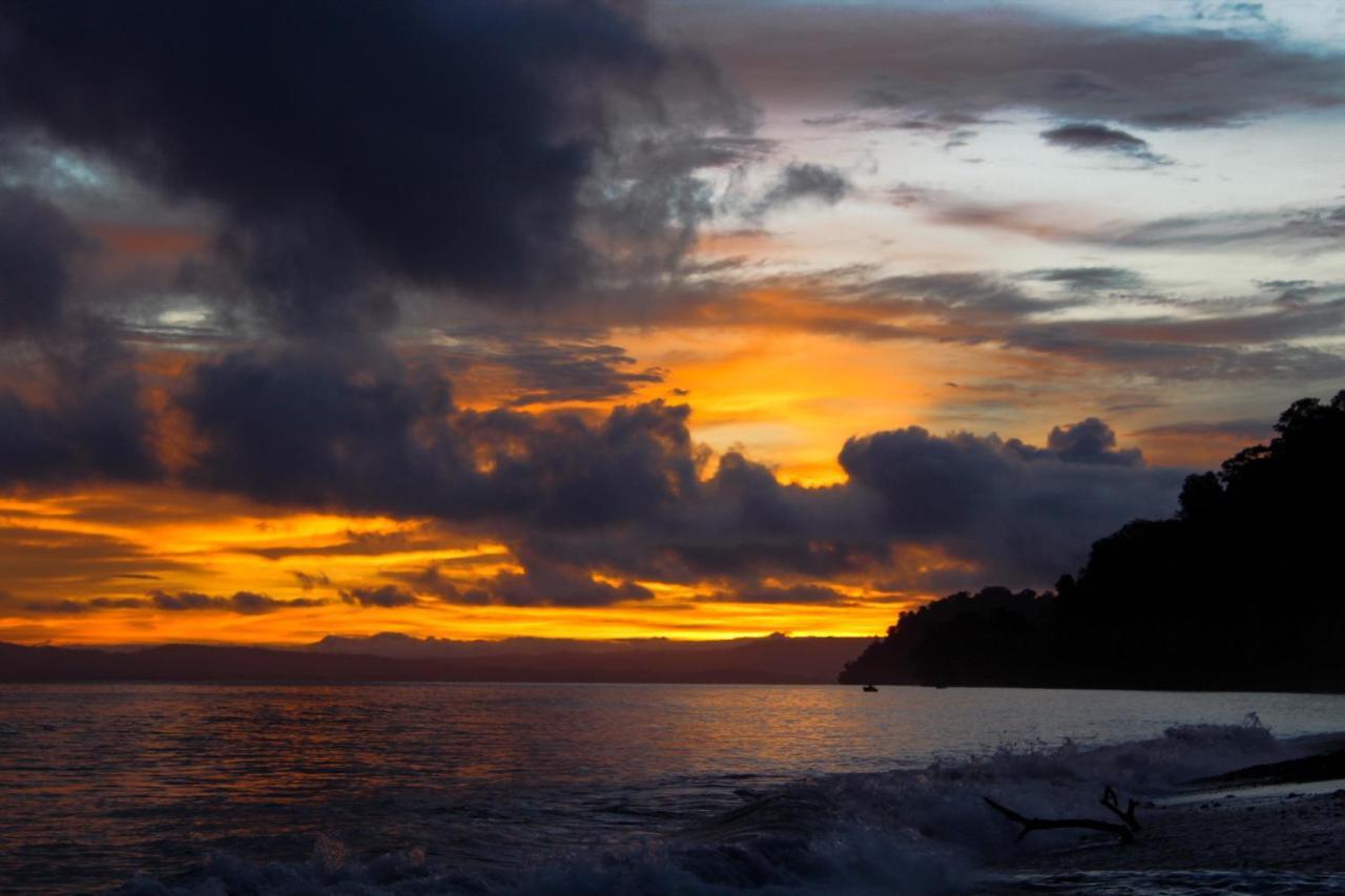 Dolphin Quest Costa Rica Βίλα Piedras Blancas Εξωτερικό φωτογραφία