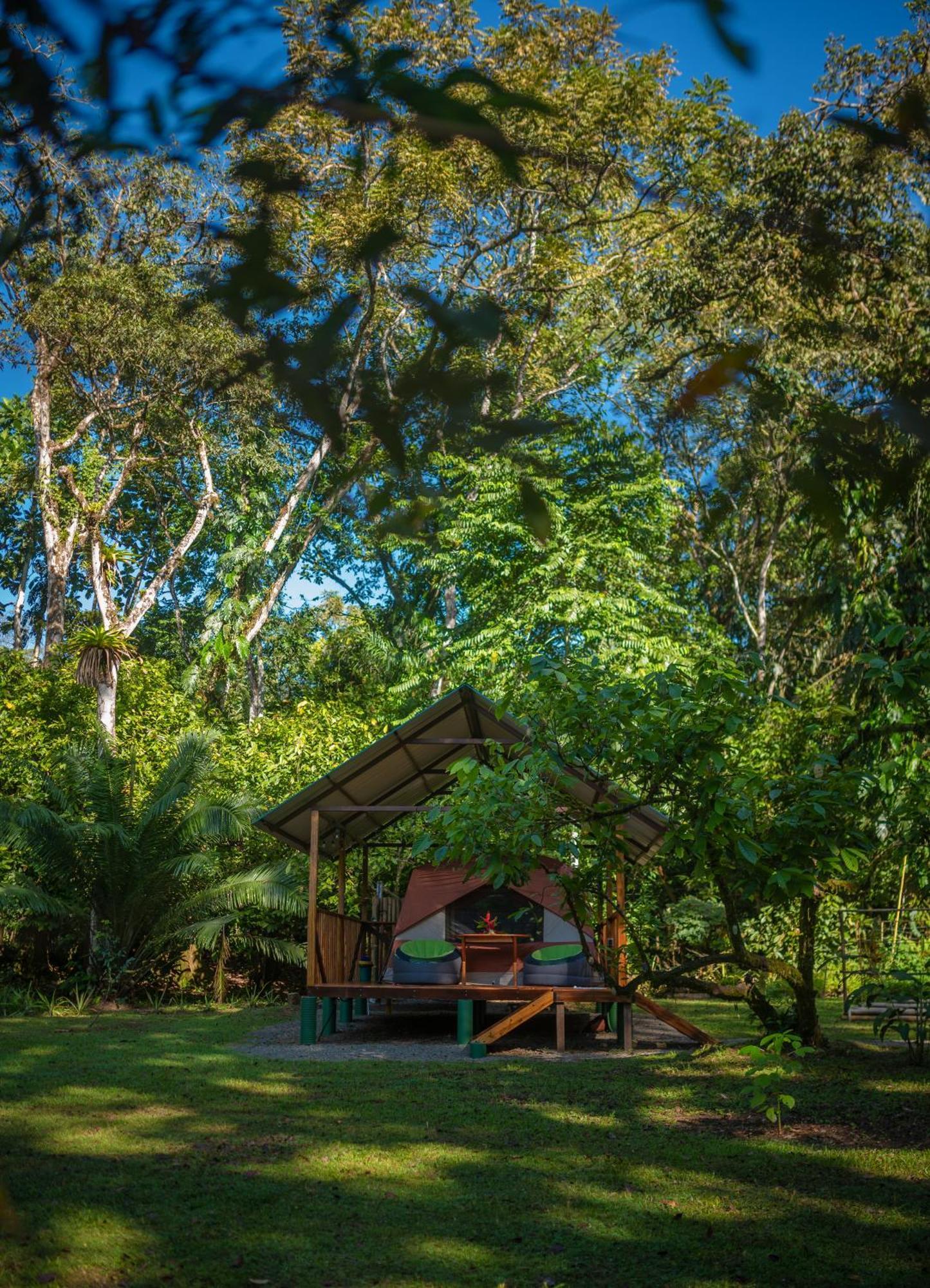 Dolphin Quest Costa Rica Βίλα Piedras Blancas Εξωτερικό φωτογραφία